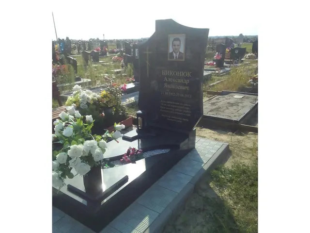 Памятник - А-111-48