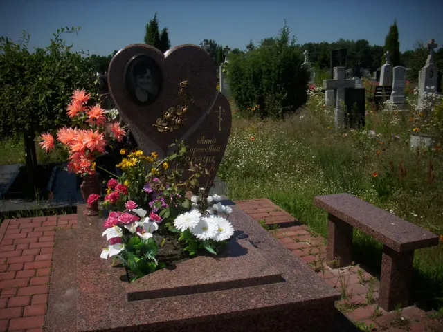 Памятник - А-111-54